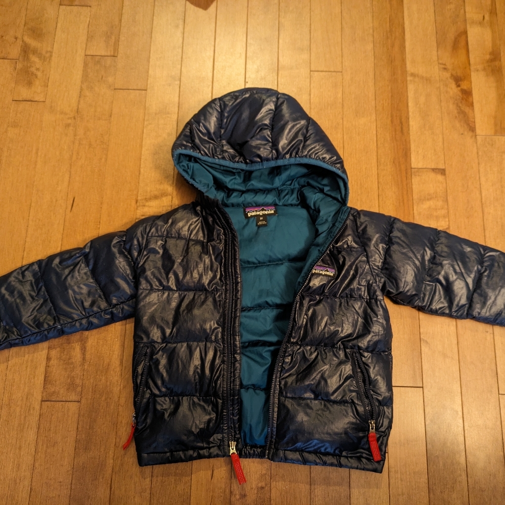 Patagonia Toddler Hi Loft Down Jacket